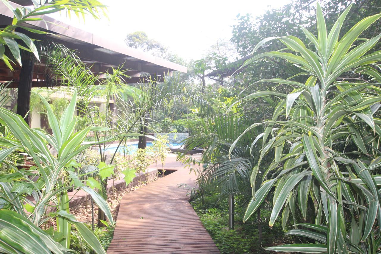 Forest Villa'S Saint Lucia Estuary Buitenkant foto